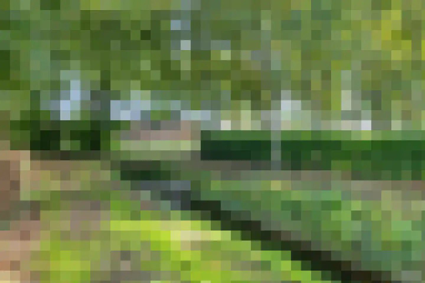 Noorderdiep 132 Nieuw-Buinen thumbnail 46