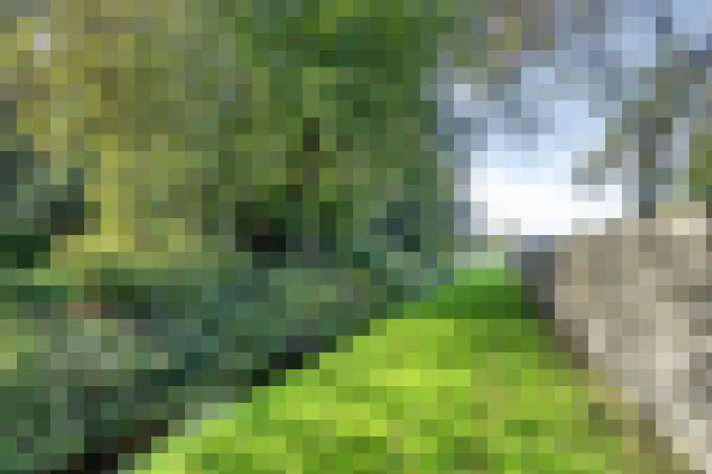 Noorderdiep 132 Nieuw-Buinen thumbnail 47