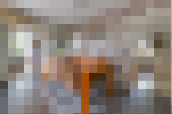 Noorderdiep 134 Nieuw-Buinen thumbnail 11