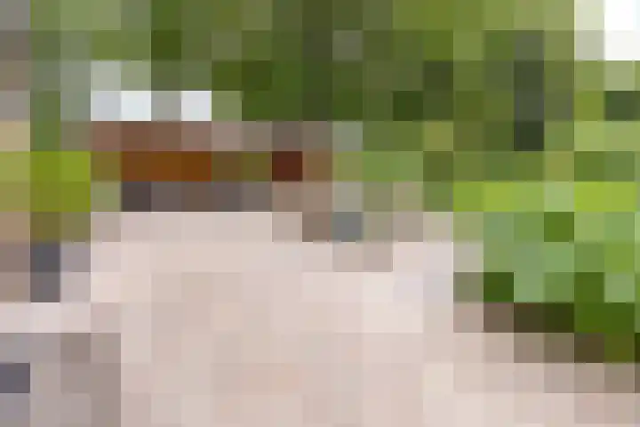 Noorderdiep 134 Nieuw-Buinen thumbnail 25