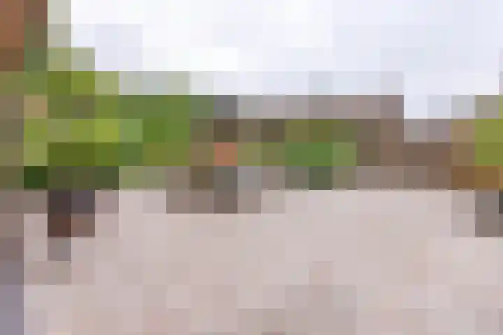 Noorderdiep 134 Nieuw-Buinen thumbnail 26