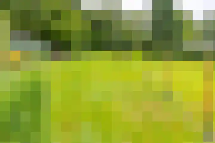 Noorderdiep 134 Nieuw-Buinen thumbnail 27