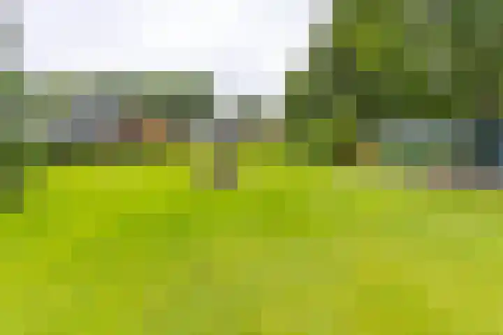 Noorderdiep 134 Nieuw-Buinen thumbnail 28