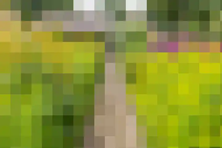 Noorderdiep 134 Nieuw-Buinen thumbnail 29