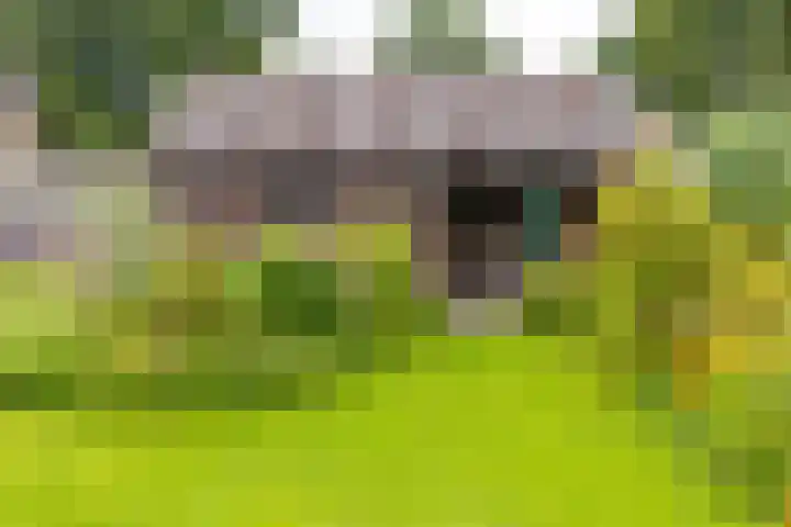 Noorderdiep 134 Nieuw-Buinen thumbnail 30