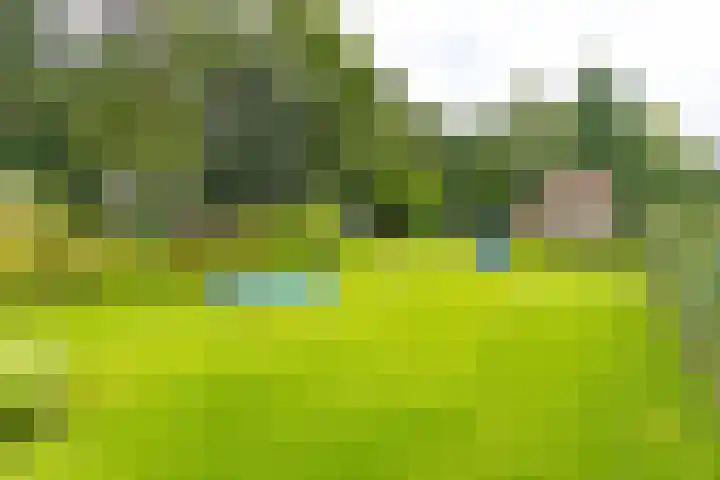 Noorderdiep 134 Nieuw-Buinen thumbnail 31