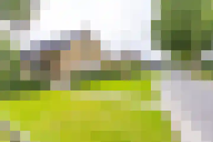 Noorderdiep 134 Nieuw-Buinen thumbnail 32