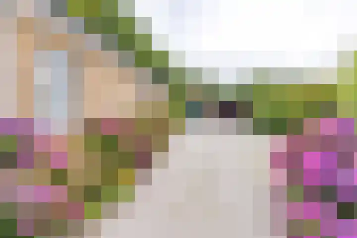 Noorderdiep 134 Nieuw-Buinen thumbnail 5