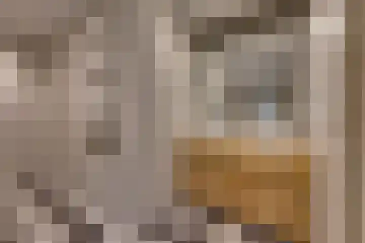 Noorderdiep 140 Nieuw-Buinen thumbnail 15