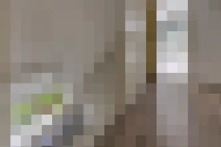 Noorderdiep 140 Nieuw-Buinen thumbnail 17