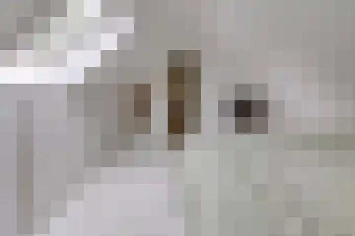 Noorderdiep 140 Nieuw-Buinen thumbnail 19
