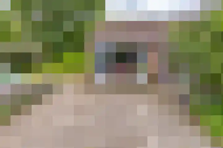 Noorderdiep 140 Nieuw-Buinen thumbnail 26