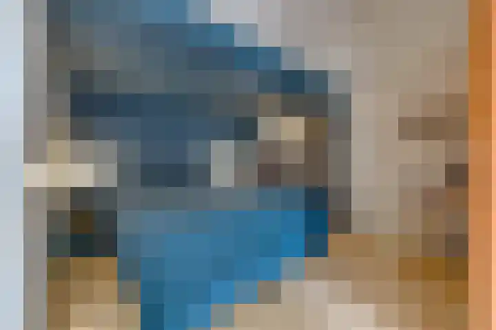 Noorderdiep 140 Nieuw-Buinen thumbnail 30