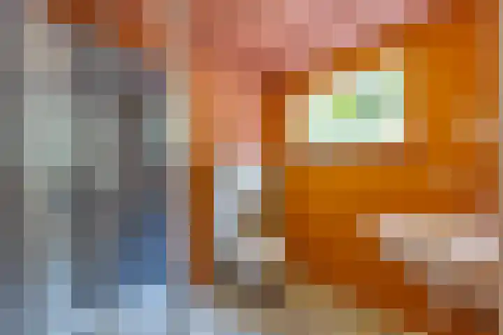 Noorderdiep 140 Nieuw-Buinen thumbnail 31