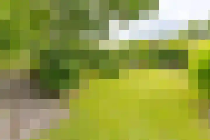 Noorderdiep 140 Nieuw-Buinen thumbnail 33