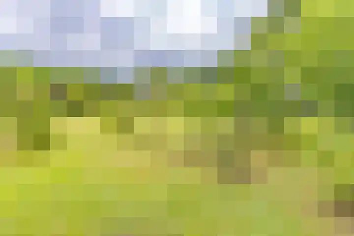 Noorderdiep 140 Nieuw-Buinen thumbnail 34