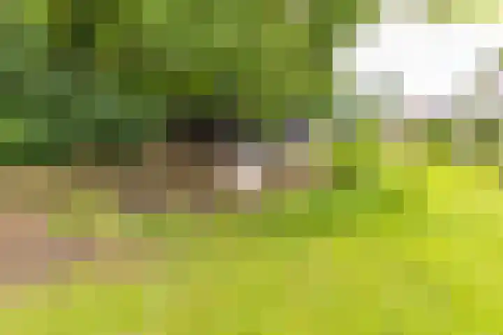 Noorderdiep 140 Nieuw-Buinen thumbnail 35