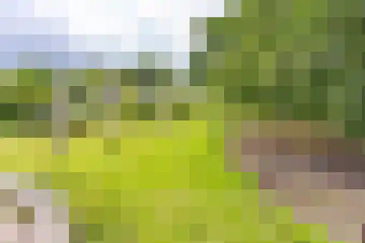 Noorderdiep 140 Nieuw-Buinen thumbnail 36