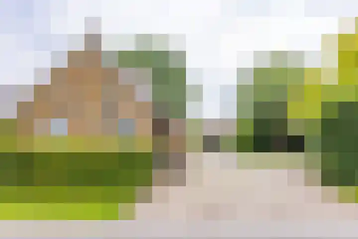 Noorderdiep 140 Nieuw-Buinen thumbnail 37