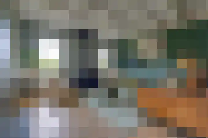 Noorderdiep 140 Nieuw-Buinen thumbnail 4