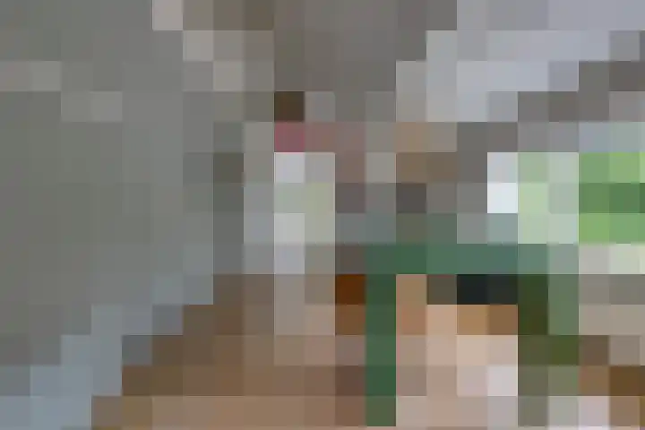 Noorderdiep 140 Nieuw-Buinen thumbnail 7