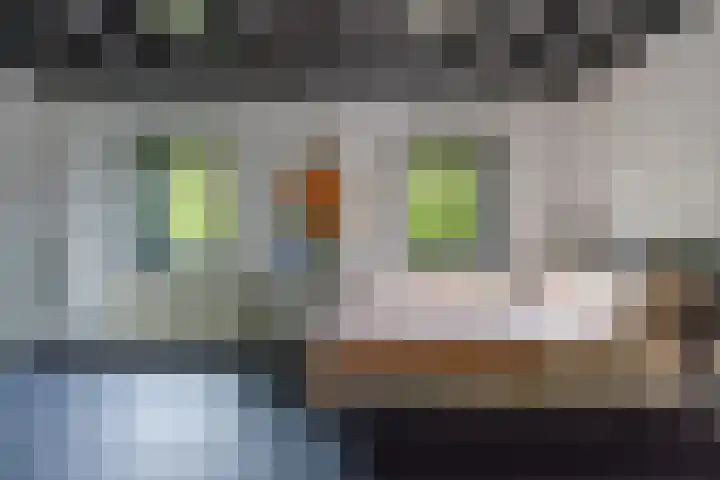 Noorderdiep 140 Nieuw-Buinen thumbnail 8