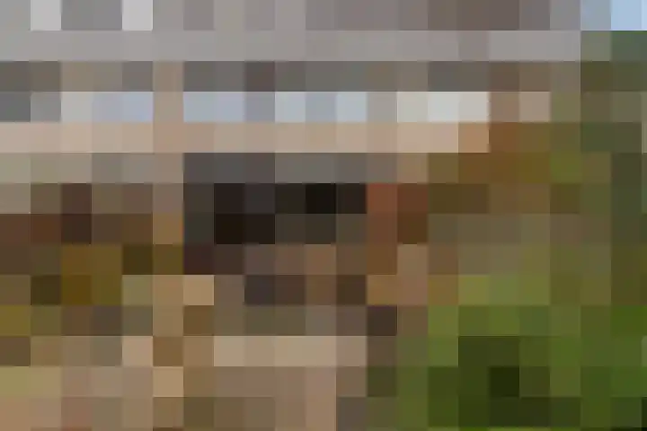 Noorderdiep 15 Zwijndrecht thumbnail 35