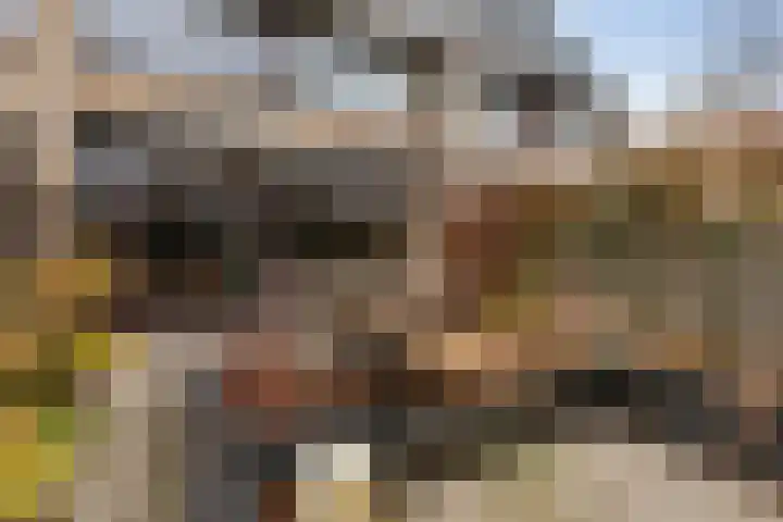 Noorderdiep 15 Zwijndrecht thumbnail 36