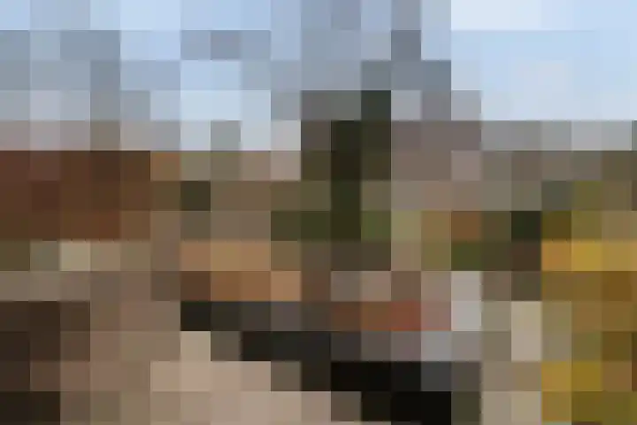 Noorderdiep 15 Zwijndrecht thumbnail 37
