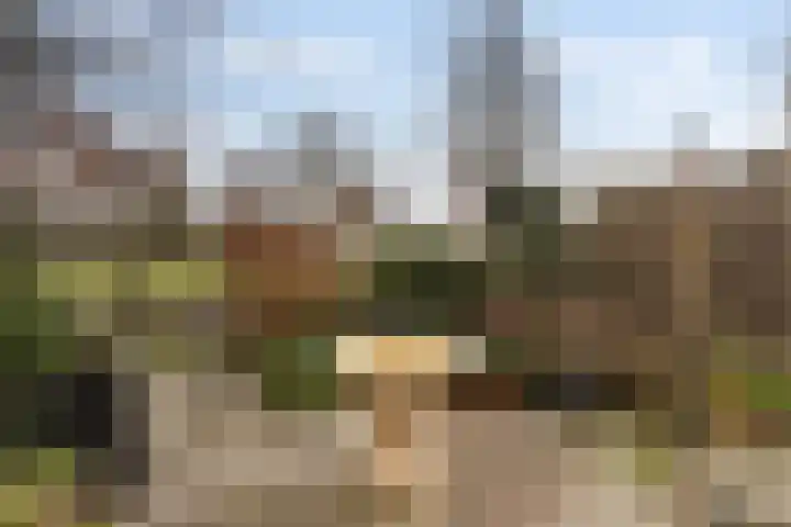 Noorderdiep 15 Zwijndrecht thumbnail 40