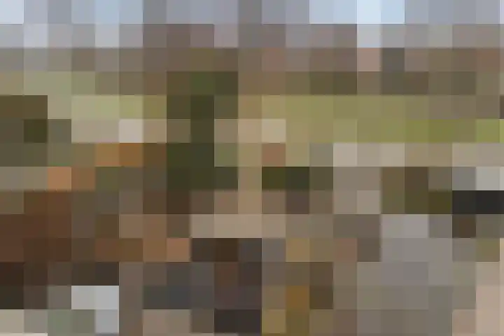 Noorderdiep 15 Zwijndrecht thumbnail 41