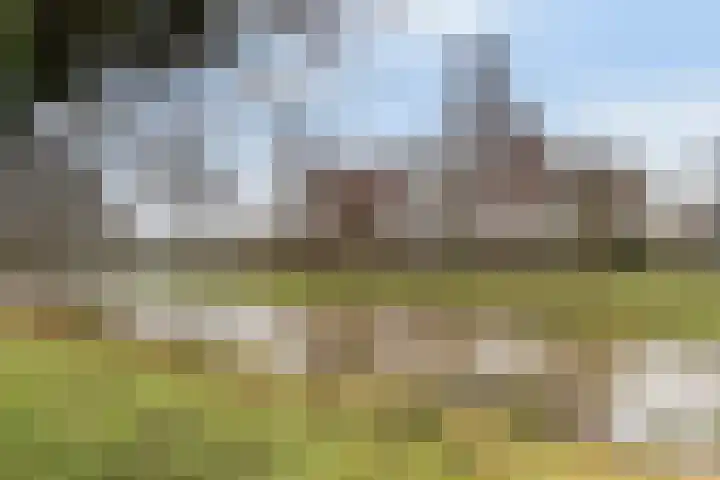 Noorderdiep 15 Zwijndrecht thumbnail 43
