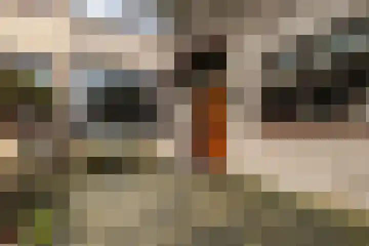 Noorderdiep 15 Zwijndrecht thumbnail 7