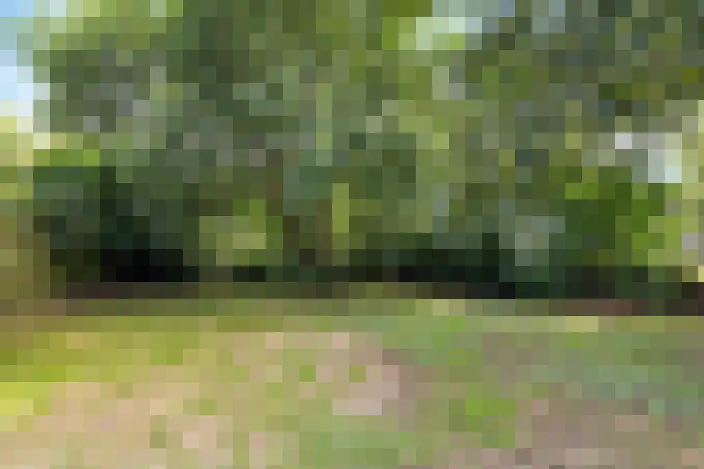 Noorderdiep 164 Nieuw-Buinen thumbnail 18