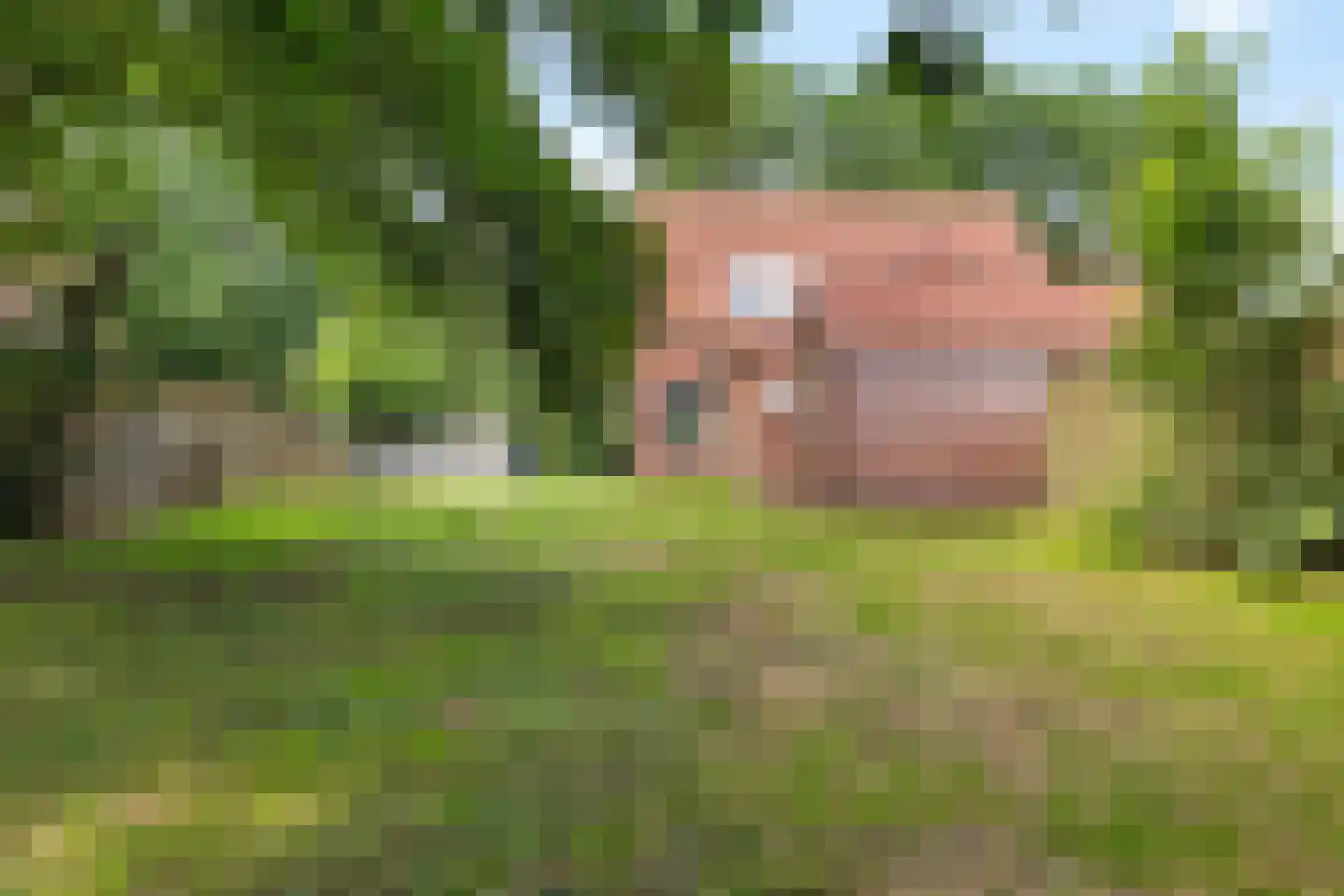Noorderdiep 164 Nieuw-Buinen thumbnail 19