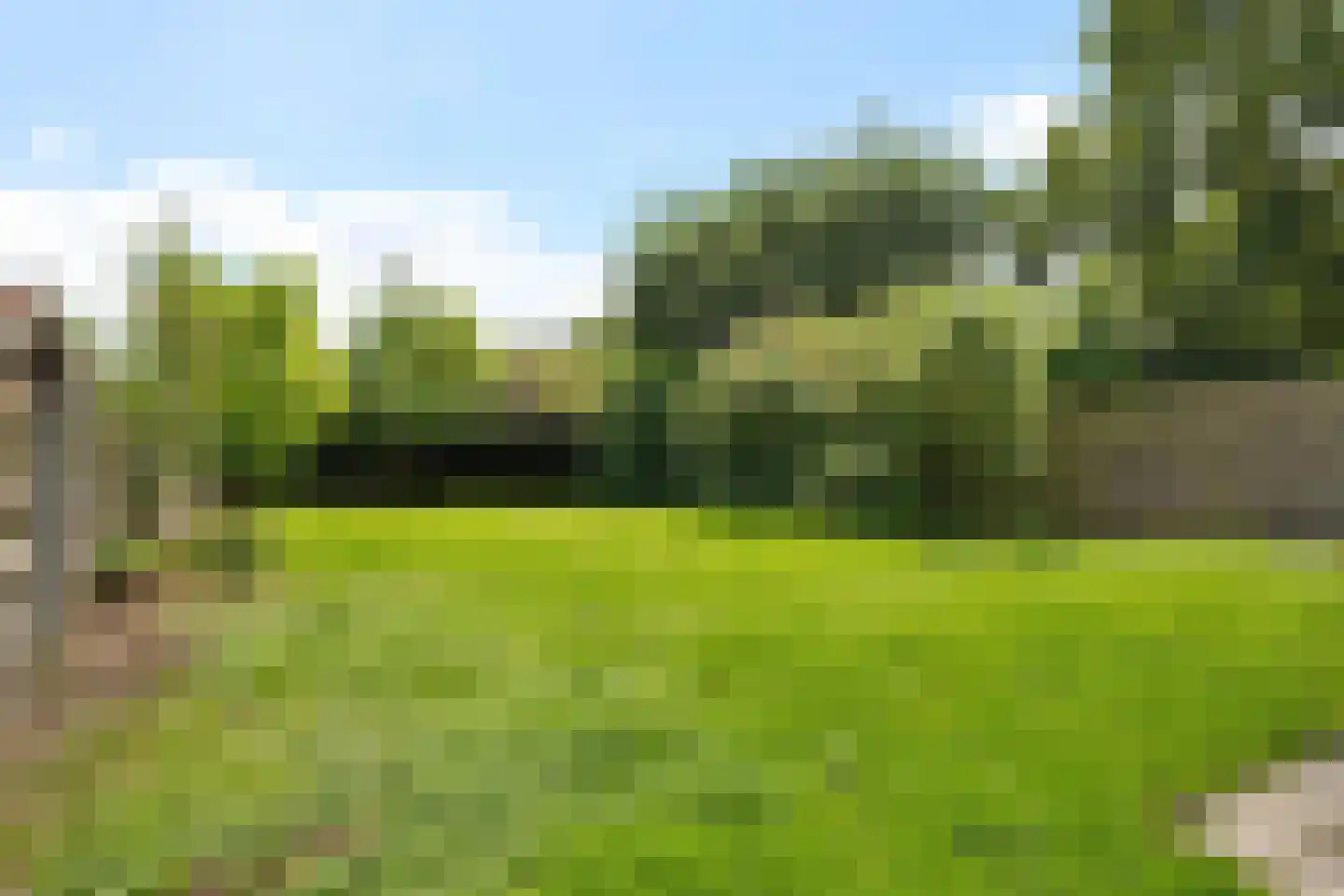 Noorderdiep 166 Nieuw-Buinen thumbnail 18