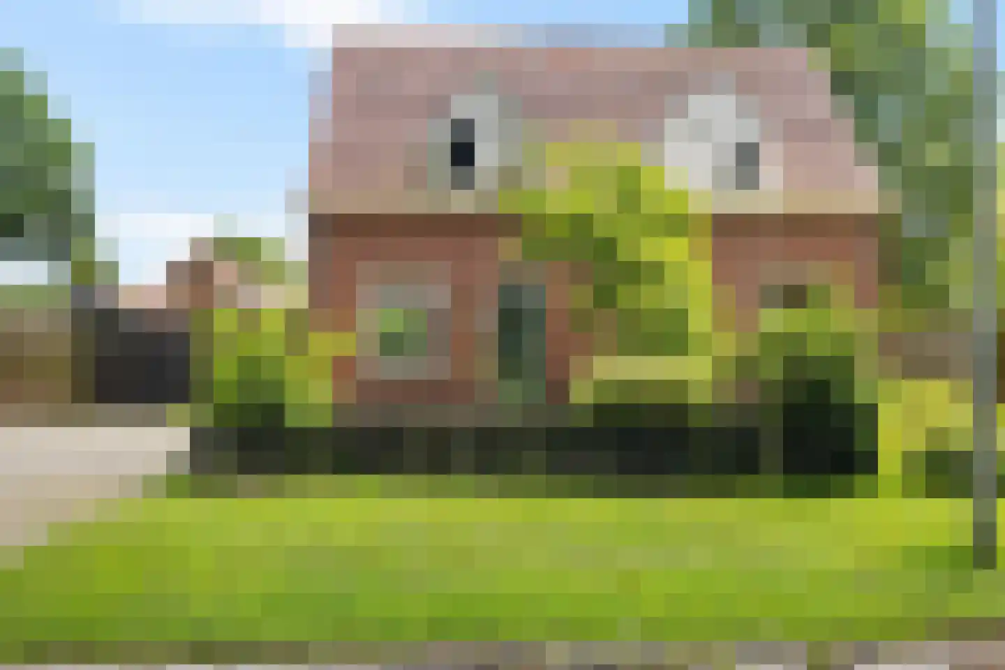 Noorderdiep 166 Nieuw-Buinen foto 2