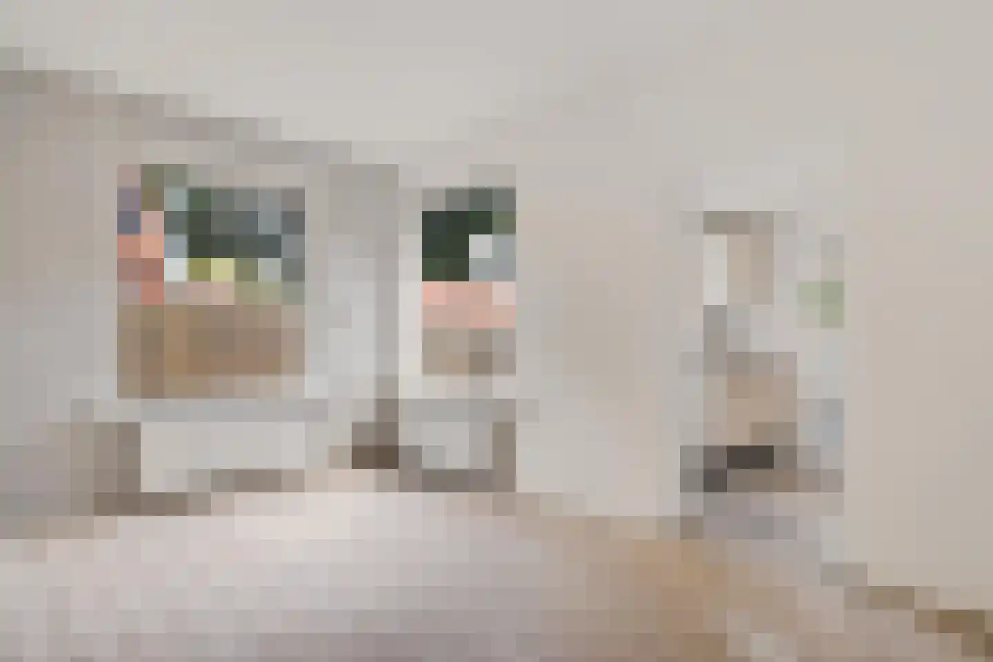 Noorderdiep 166 Nieuw-Buinen thumbnail 7