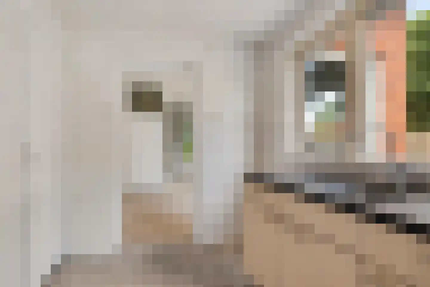 Noorderdiep 166 Nieuw-Buinen thumbnail 9