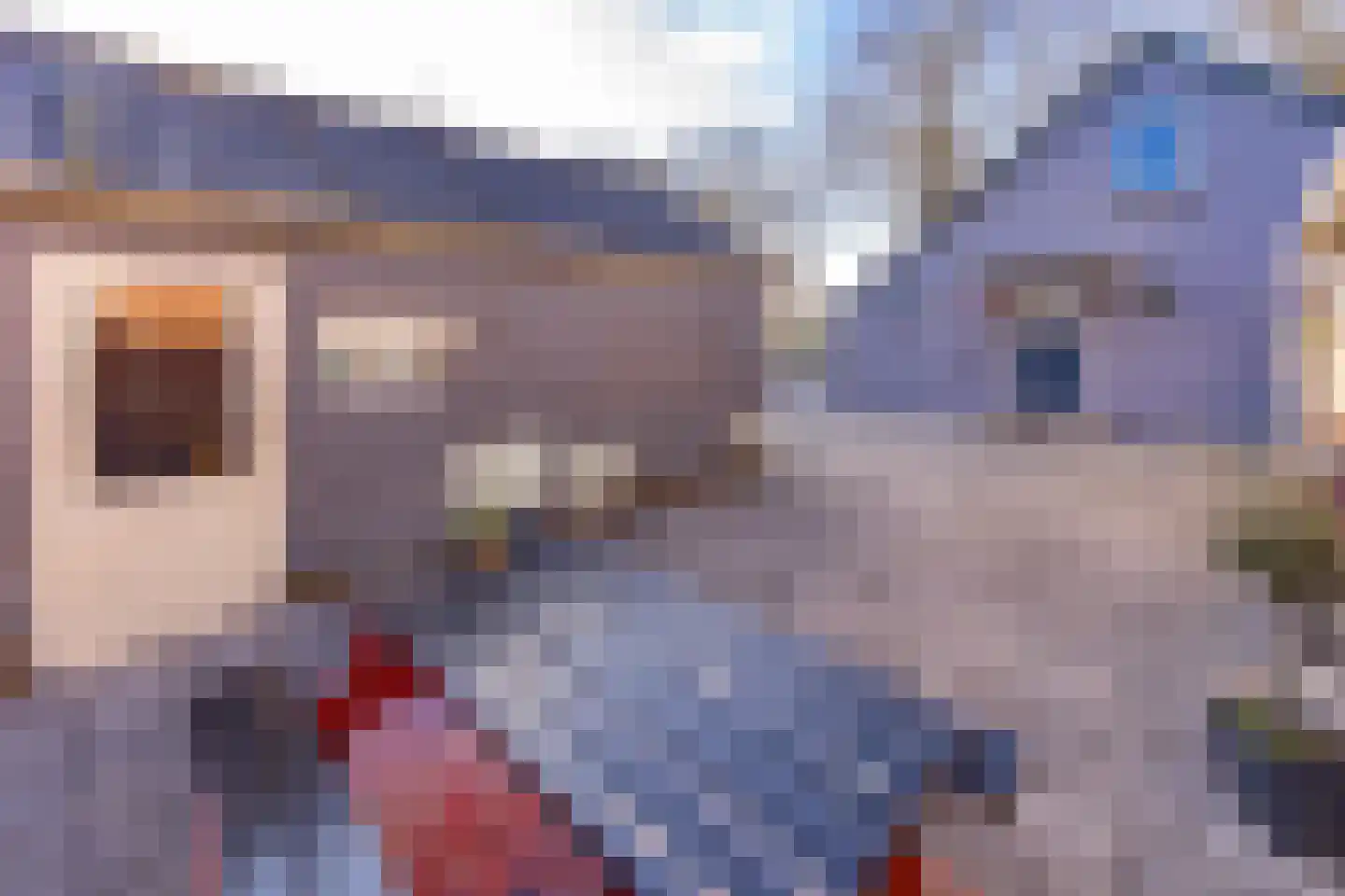 Noorderdiep 190 Nieuw-Buinen thumbnail 31