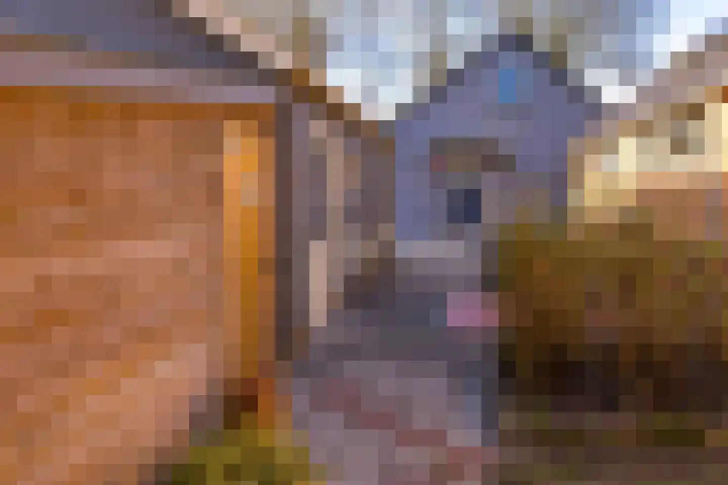 Noorderdiep 190 Nieuw-Buinen thumbnail 32