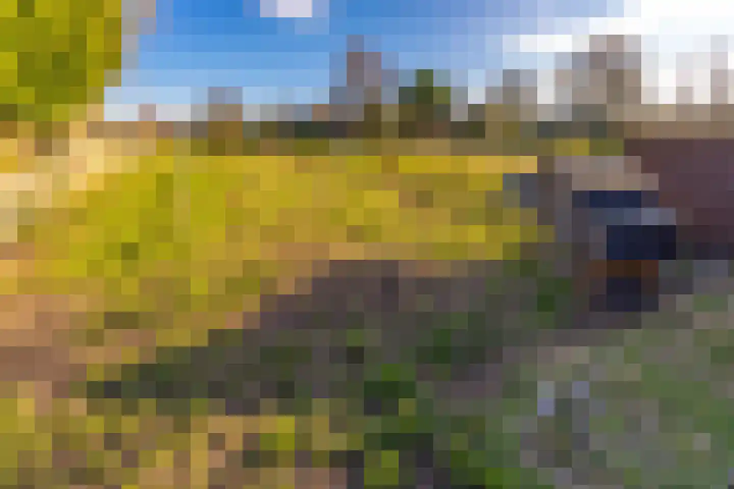Noorderdiep 190 Nieuw-Buinen thumbnail 35