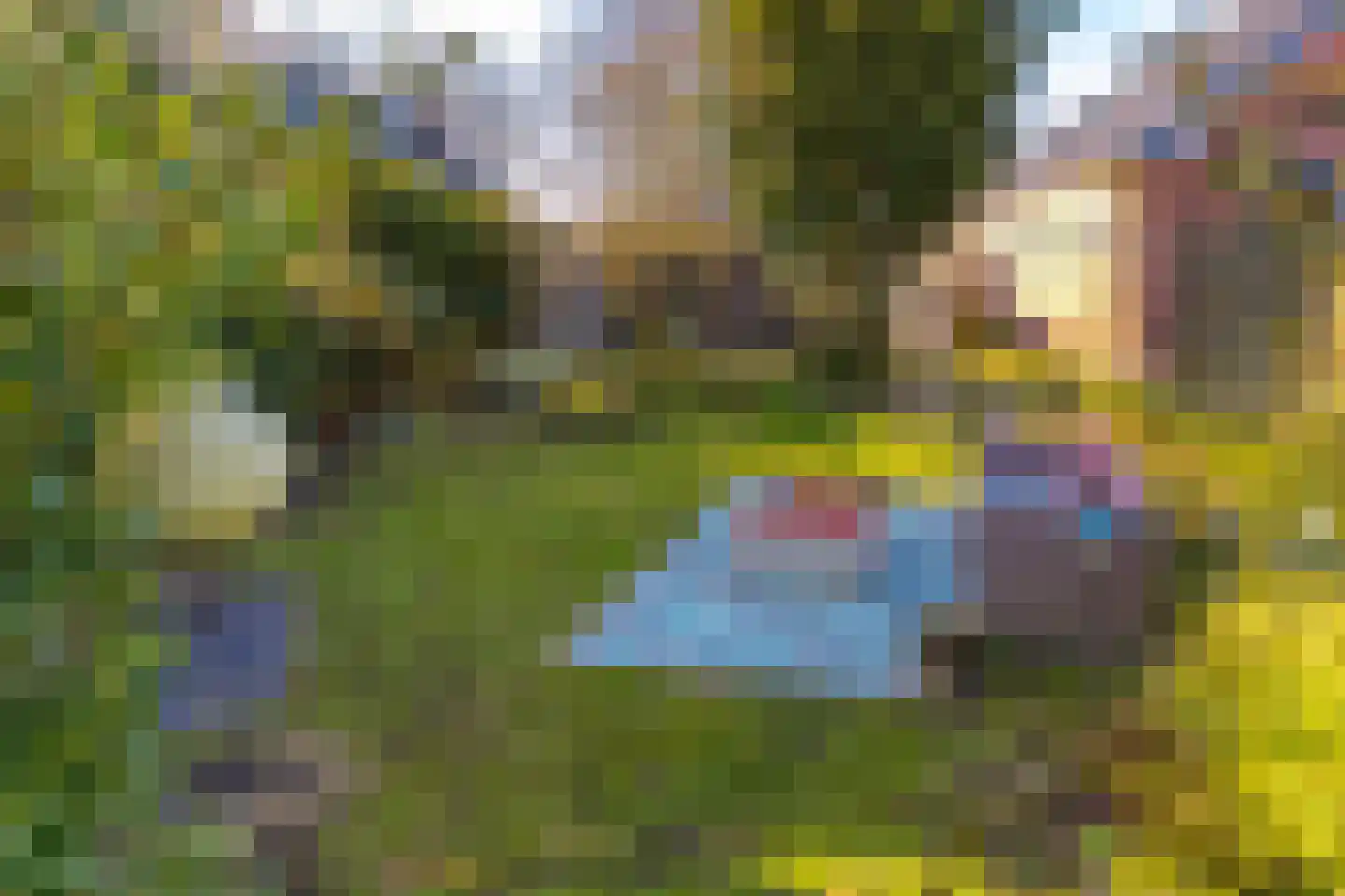 Noorderdiep 190 Nieuw-Buinen thumbnail 36