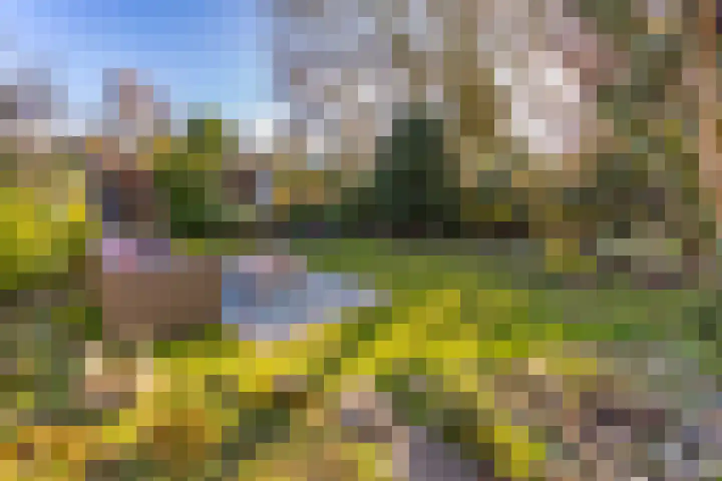 Noorderdiep 190 Nieuw-Buinen thumbnail 37
