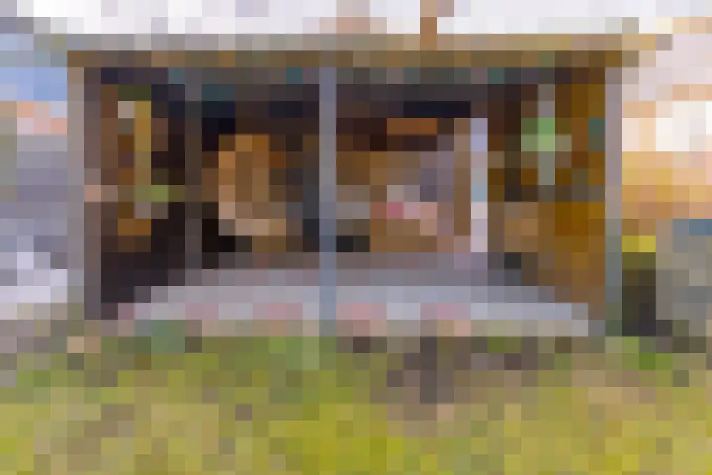 Noorderdiep 190 Nieuw-Buinen thumbnail 39