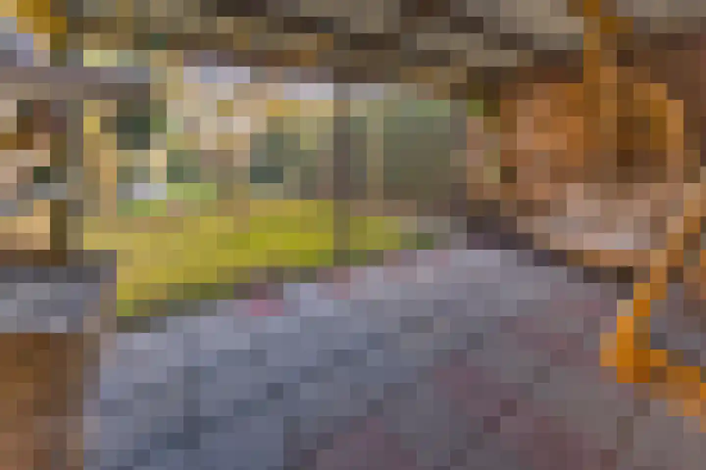 Noorderdiep 190 Nieuw-Buinen thumbnail 40