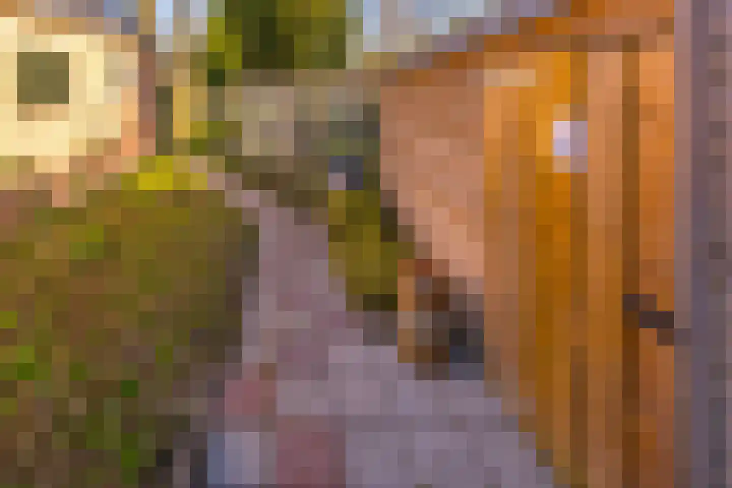 Noorderdiep 190 Nieuw-Buinen thumbnail 41