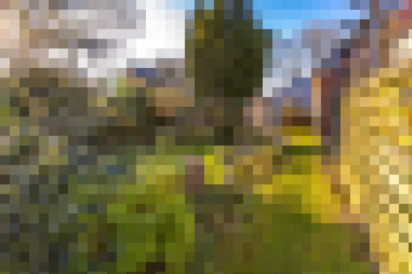 Noorderdiep 190 Nieuw-Buinen thumbnail 42