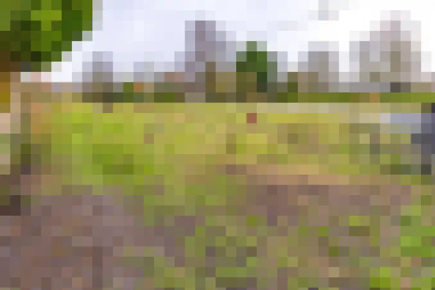 Noorderdiep 190 Nieuw-Buinen thumbnail 43