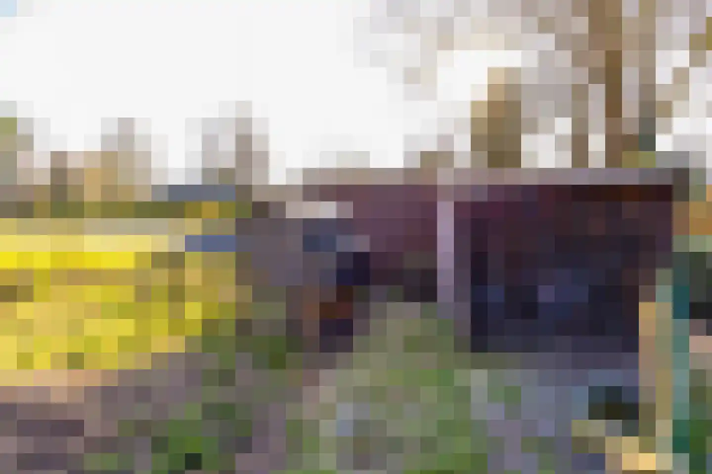 Noorderdiep 190 Nieuw-Buinen thumbnail 44